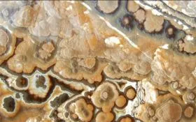 hony_onyx_ma_20171203_1445097066 hony_onyx_ma_20171203_1445097066