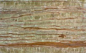 lotus_onyx_20171203_1857590786