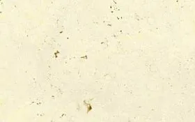 white_travertine_cross_cut_at_20171203_1574575808 white_travertine_cross_cut_at_20171203_1574575808